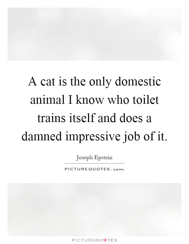 A cat is the only domestic animal I know who toilet trains itself and does a damned impressive job of it Picture Quote #1