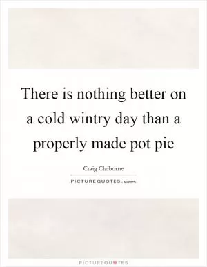 There is nothing better on a cold wintry day than a properly made pot pie Picture Quote #1