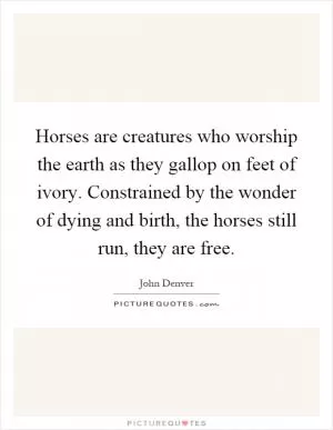 Horses are creatures who worship the earth as they gallop on feet of ivory. Constrained by the wonder of dying and birth, the horses still run, they are free Picture Quote #1