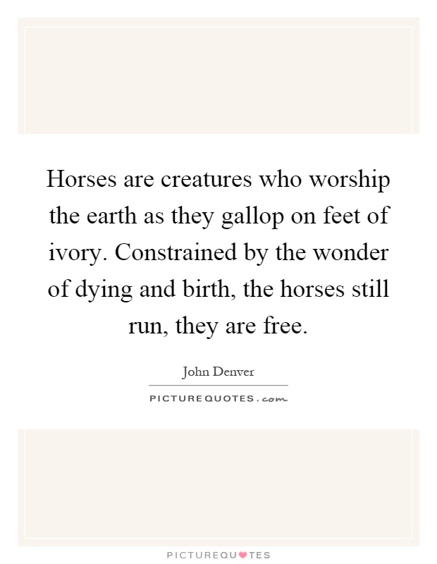 Horses are creatures who worship the earth as they gallop on feet of ivory. Constrained by the wonder of dying and birth, the horses still run, they are free Picture Quote #1