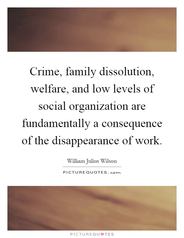Crime, family dissolution, welfare, and low levels of social organization are fundamentally a consequence of the disappearance of work Picture Quote #1