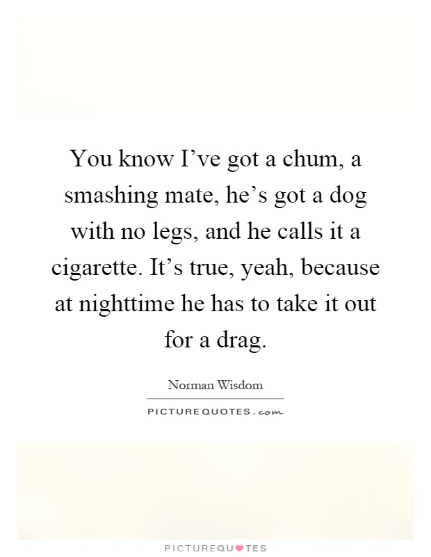 You know I've got a chum, a smashing mate, he's got a dog with no legs, and he calls it a cigarette. It's true, yeah, because at nighttime he has to take it out for a drag Picture Quote #1