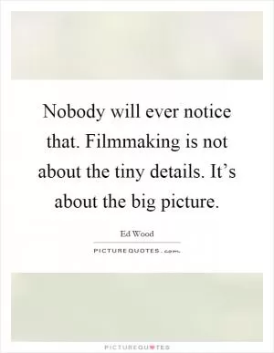 Nobody will ever notice that. Filmmaking is not about the tiny details. It’s about the big picture Picture Quote #1