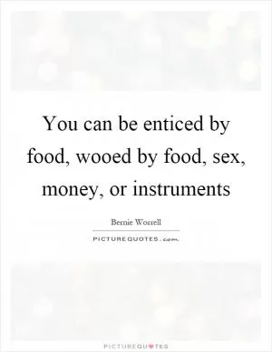 You can be enticed by food, wooed by food, sex, money, or instruments Picture Quote #1