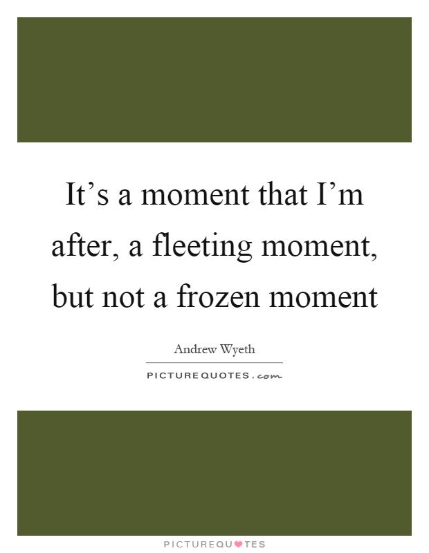 It's a moment that I'm after, a fleeting moment, but not a frozen moment Picture Quote #1