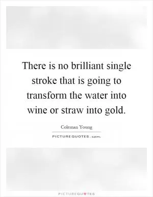 There is no brilliant single stroke that is going to transform the water into wine or straw into gold Picture Quote #1