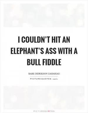 I couldn’t hit an elephant’s ass with a bull fiddle Picture Quote #1
