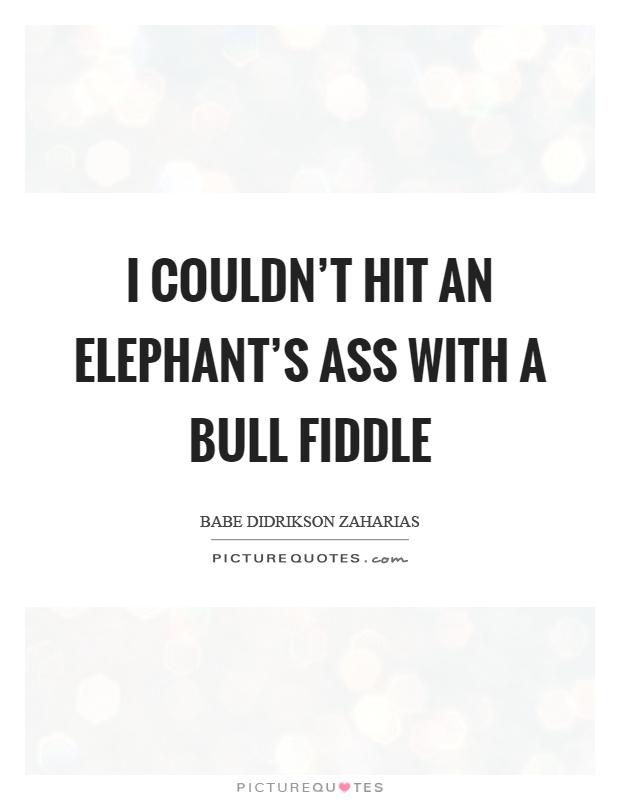 I couldn't hit an elephant's ass with a bull fiddle Picture Quote #1