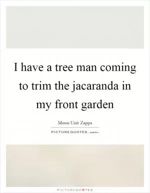 I have a tree man coming to trim the jacaranda in my front garden Picture Quote #1