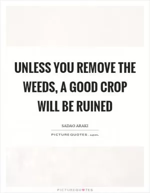 Unless you remove the weeds, a good crop will be ruined Picture Quote #1