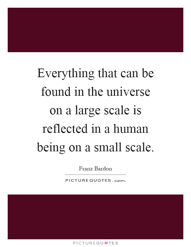 Everything that can be found in the universe on a large scale is reflected in a human being on a small scale Picture Quote #1