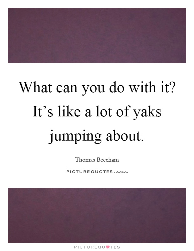 What can you do with it? It's like a lot of yaks jumping about Picture Quote #1