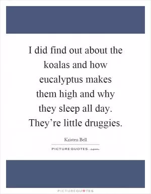 I did find out about the koalas and how eucalyptus makes them high and why they sleep all day. They’re little druggies Picture Quote #1