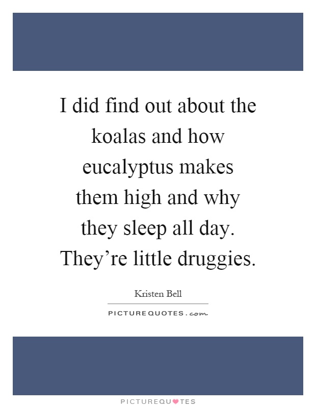 I did find out about the koalas and how eucalyptus makes them high and why they sleep all day. They're little druggies Picture Quote #1