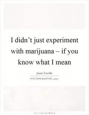 I didn’t just experiment with marijuana – if you know what I mean Picture Quote #1