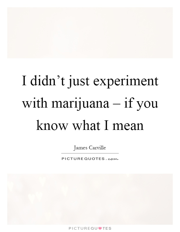 I didn't just experiment with marijuana – if you know what I mean Picture Quote #1