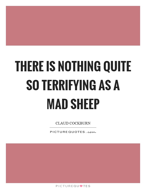 There is nothing quite so terrifying as a mad sheep Picture Quote #1