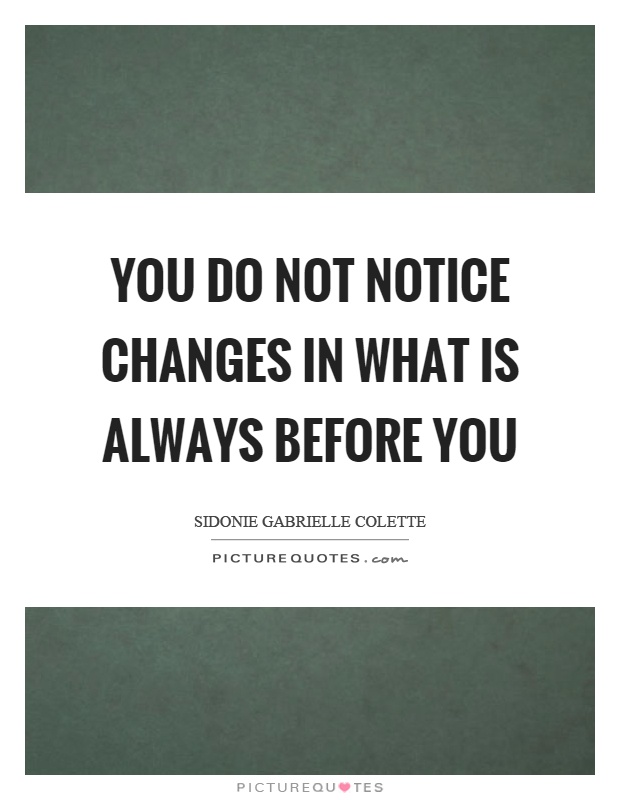 You do not notice changes in what is always before you Picture Quote #1