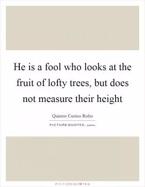 He is a fool who looks at the fruit of lofty trees, but does not measure their height Picture Quote #1