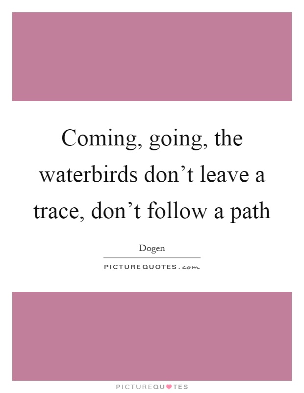 Coming, going, the waterbirds don't leave a trace, don't follow a path Picture Quote #1