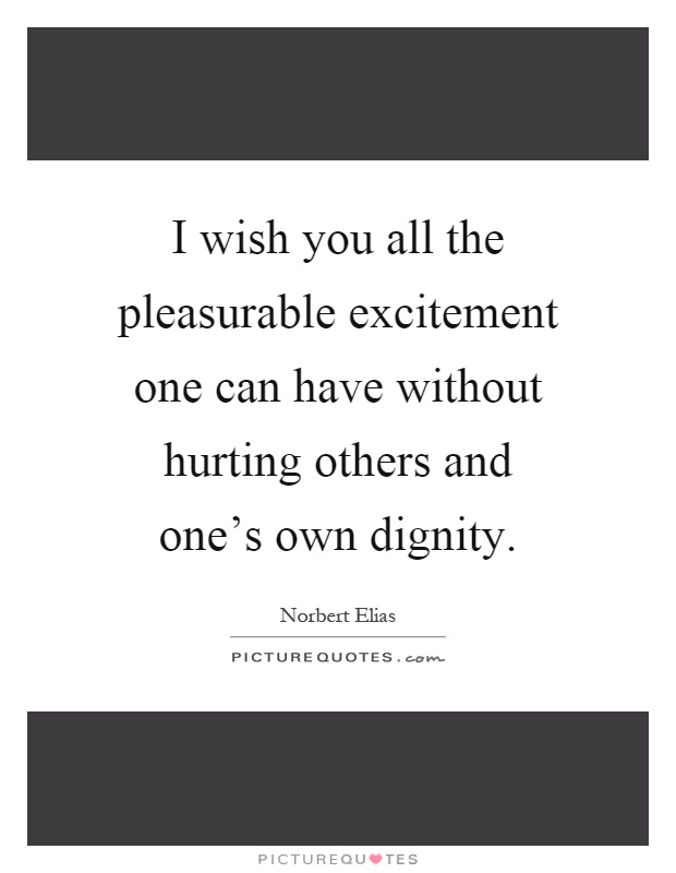 I wish you all the pleasurable excitement one can have without hurting others and one's own dignity Picture Quote #1