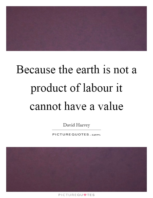 Because the earth is not a product of labour it cannot have a value Picture Quote #1