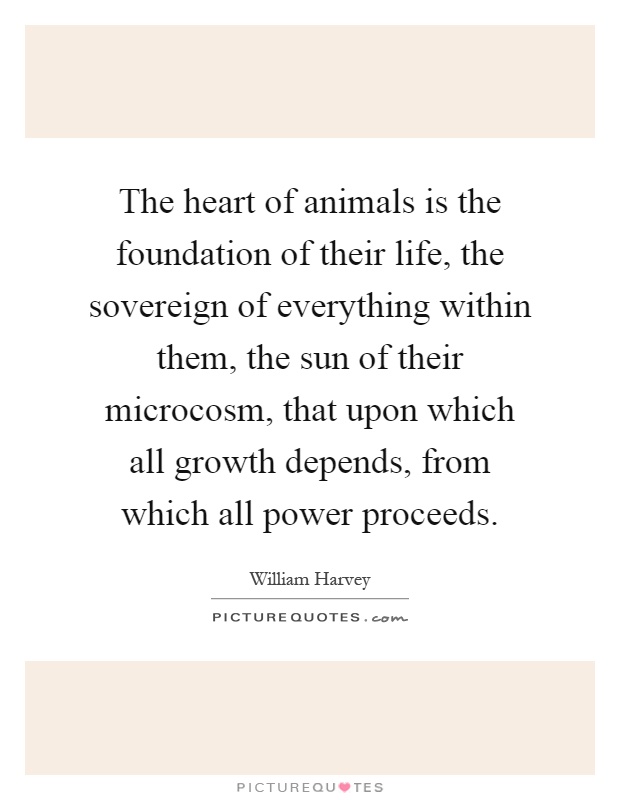 The heart of animals is the foundation of their life, the sovereign of everything within them, the sun of their microcosm, that upon which all growth depends, from which all power proceeds Picture Quote #1