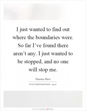 I just wanted to find out where the boundaries were. So far I’ve found there aren’t any. I just wanted to be stopped, and no one will stop me Picture Quote #1