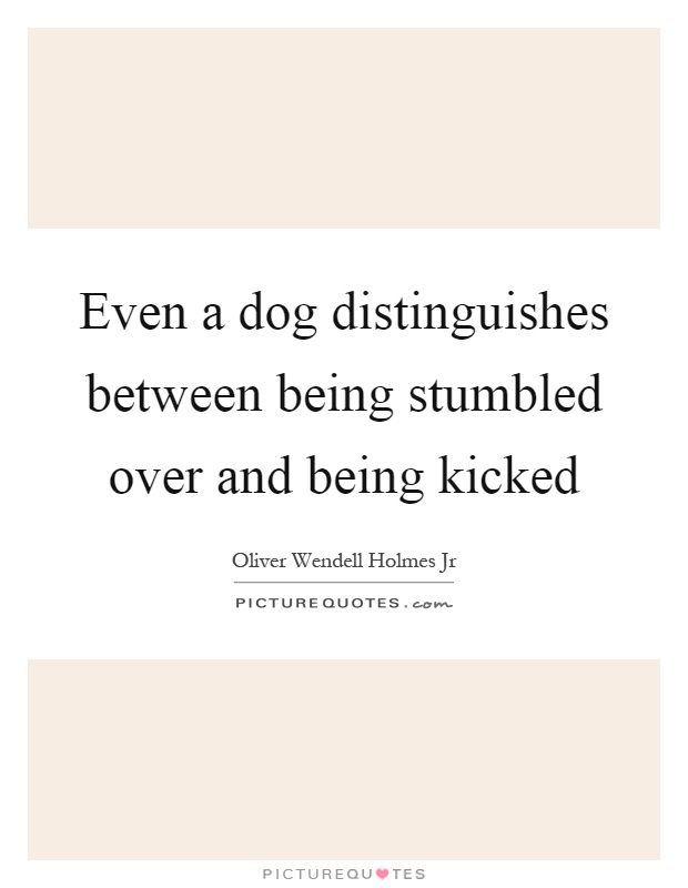 Even a dog distinguishes between being stumbled over and being kicked Picture Quote #1