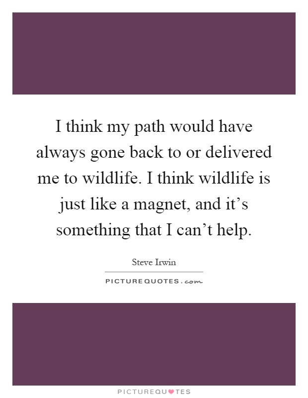 I think my path would have always gone back to or delivered me to wildlife. I think wildlife is just like a magnet, and it's something that I can't help Picture Quote #1