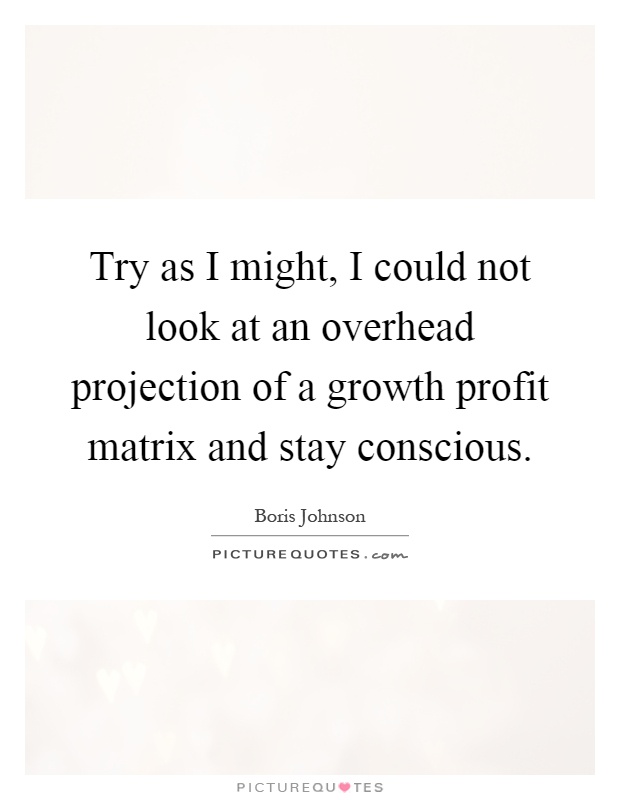 Try as I might, I could not look at an overhead projection of a growth profit matrix and stay conscious Picture Quote #1