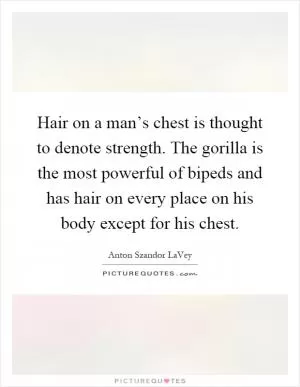 Hair on a man’s chest is thought to denote strength. The gorilla is the most powerful of bipeds and has hair on every place on his body except for his chest Picture Quote #1