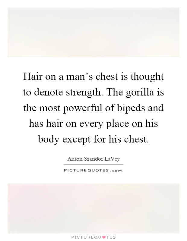Hair on a man's chest is thought to denote strength. The gorilla is the most powerful of bipeds and has hair on every place on his body except for his chest Picture Quote #1
