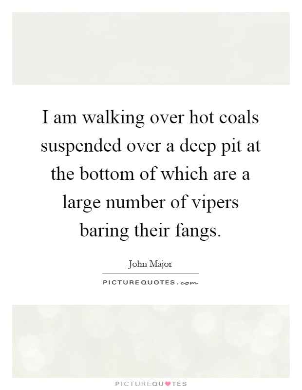 I am walking over hot coals suspended over a deep pit at the bottom of which are a large number of vipers baring their fangs Picture Quote #1