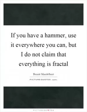 If you have a hammer, use it everywhere you can, but I do not claim that everything is fractal Picture Quote #1