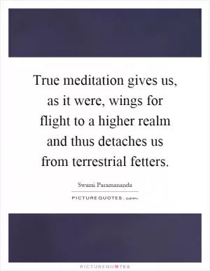 True meditation gives us, as it were, wings for flight to a higher realm and thus detaches us from terrestrial fetters Picture Quote #1