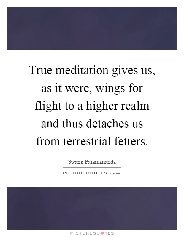 True meditation gives us, as it were, wings for flight to a higher realm and thus detaches us from terrestrial fetters Picture Quote #1