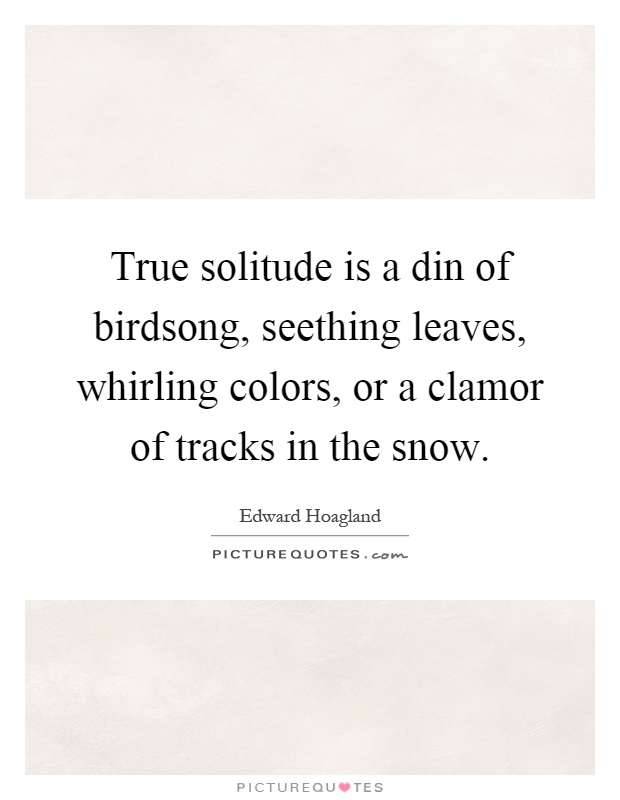 True solitude is a din of birdsong, seething leaves, whirling colors, or a clamor of tracks in the snow Picture Quote #1