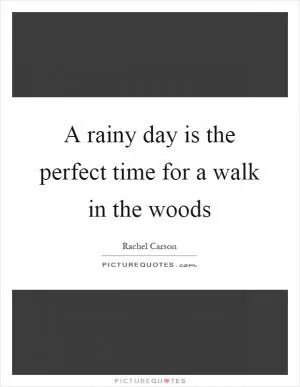 A rainy day is the perfect time for a walk in the woods Picture Quote #1