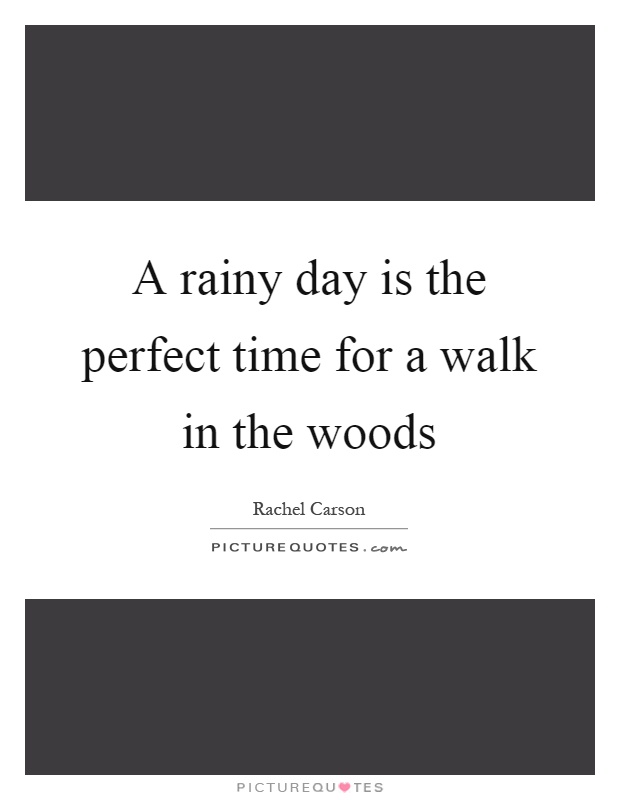 A rainy day is the perfect time for a walk in the woods Picture Quote #1