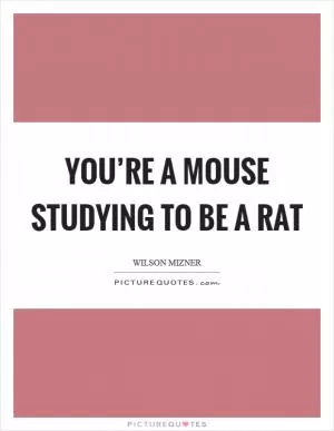 You’re a mouse studying to be a rat Picture Quote #1
