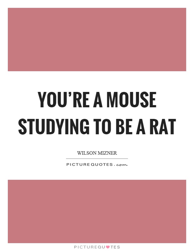 You're a mouse studying to be a rat Picture Quote #1