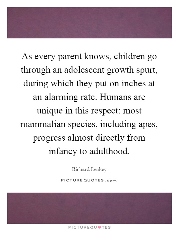 As every parent knows, children go through an adolescent growth spurt, during which they put on inches at an alarming rate. Humans are unique in this respect: most mammalian species, including apes, progress almost directly from infancy to adulthood Picture Quote #1