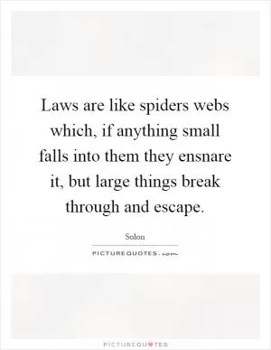 Laws are like spiders webs which, if anything small falls into them they ensnare it, but large things break through and escape Picture Quote #1
