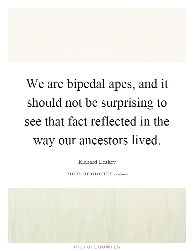 We are bipedal apes, and it should not be surprising to see that fact reflected in the way our ancestors lived Picture Quote #1