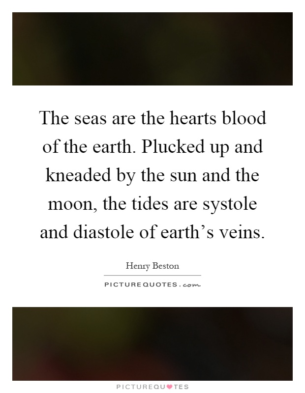 The seas are the hearts blood of the earth. Plucked up and kneaded by the sun and the moon, the tides are systole and diastole of earth's veins Picture Quote #1