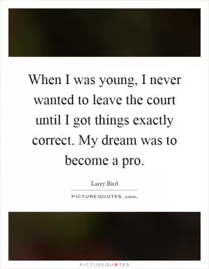 When I was young, I never wanted to leave the court until I got things exactly correct. My dream was to become a pro Picture Quote #1