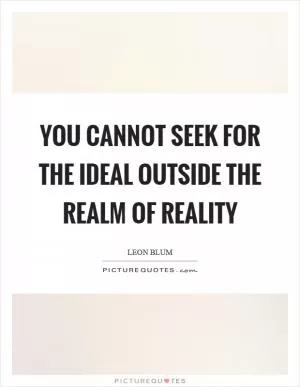 You cannot seek for the ideal outside the realm of reality Picture Quote #1