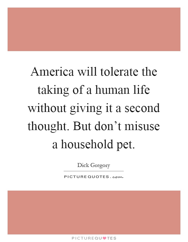 America will tolerate the taking of a human life without giving it a second thought. But don't misuse a household pet Picture Quote #1