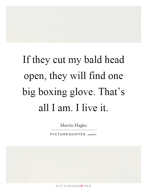 If they cut my bald head open, they will find one big boxing glove. That's all I am. I live it Picture Quote #1